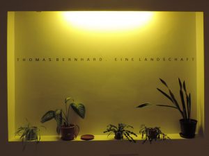 Thomas Bernhard Landschaft