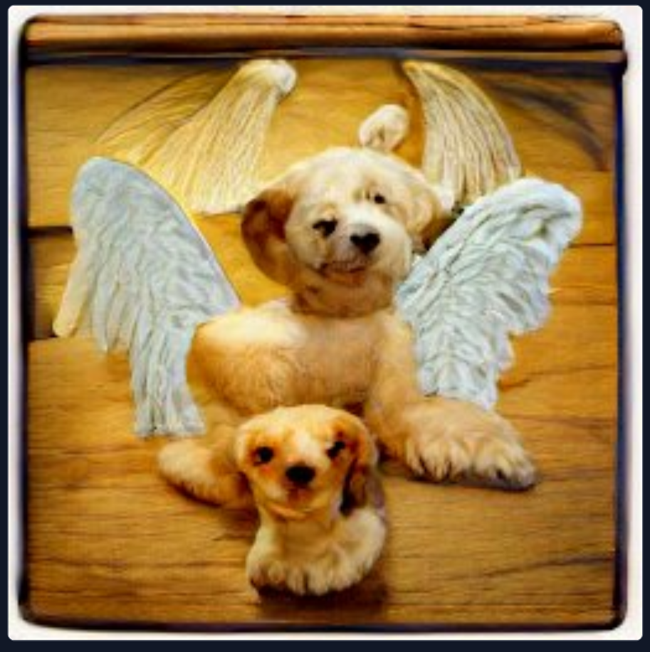 hund&engel