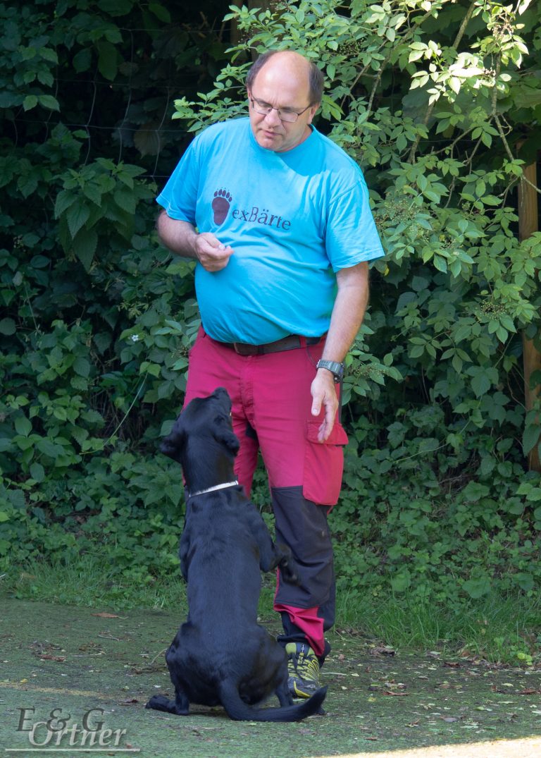 Karin Immler, Autor bei Hunderunde