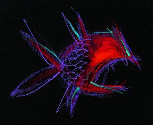 Phantastische Gefühlswesen