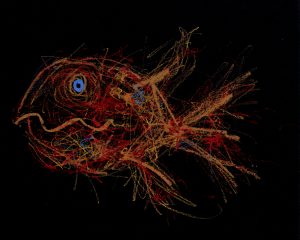 Phantastische Gefühlswesen