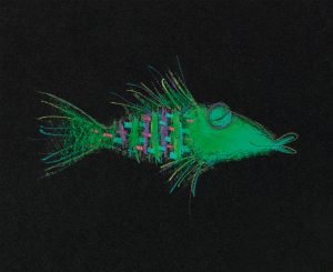 Phantastische Gefühlswesen