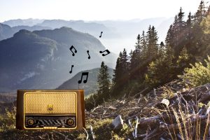 Ein altes Radiogerät steht auf einer Waldlichtung