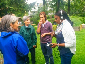Wildkräuter sammeln im Interkulturellen Stadtteilgarten Itzling