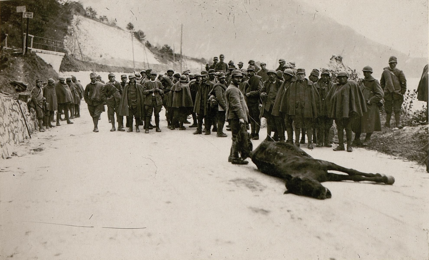 Italian prisoners burying horses. 8 November 1917 (Österreichische Nationalbibliothek)